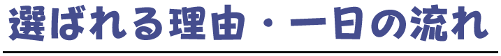 選ばれる理由・一日の流れ